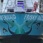 Frisky Mermaid Public Dolphin + Sightseeing Cruise Up to 49 Pax - Practical Tips for Your Trip