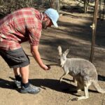From Adelaide: Cuddle a Koala and Historic Hahndorf Tour - Transportation & Group Size