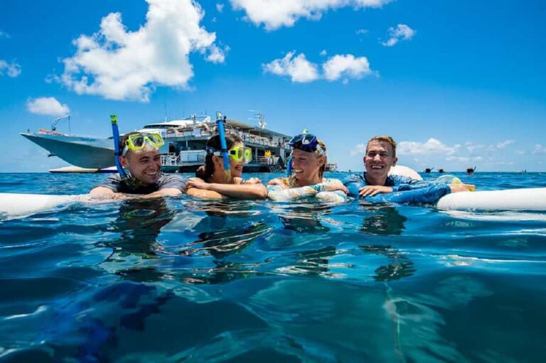 From Airlie Beach: Great Barrier Reef Adventure Cruise - Price and Value: Does It Stack Up?