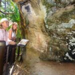 From Airlie Beach: Hook Island Cultural Tour, Sail & Snorkel - Sailing Through the Whitsundays in Style