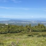 From Anchorage: Chugach State Park Walk with Naturalist - The Value of a Guided Nature Walk