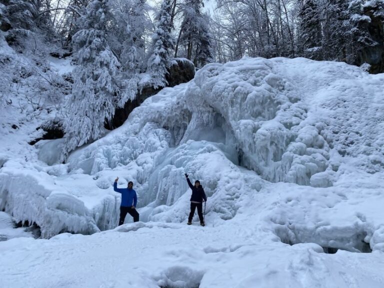 From Anchorage: Chugach State Park Winter Walking Tour - The Experience in Detail