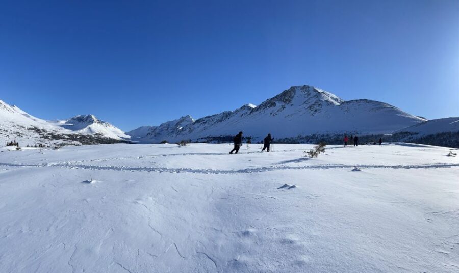 From Anchorage: Glen Alps Beginner's Snowshoeing Adventure - The Experience from the Traveler’s Perspective