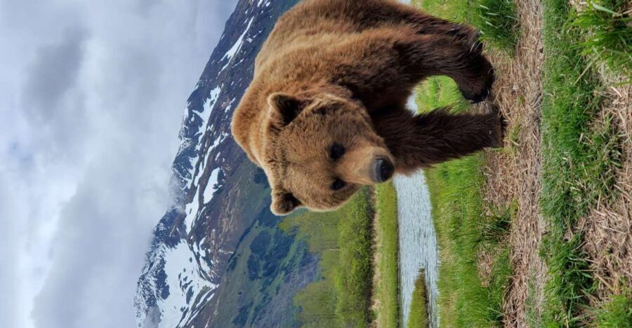 From Anchorage: Wilderness, Wildlife, & Glacier Experience - Final Thoughts