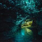 From Auckland: Day Trip to Waitomo Glow Worm Caves - The Experience in Detail