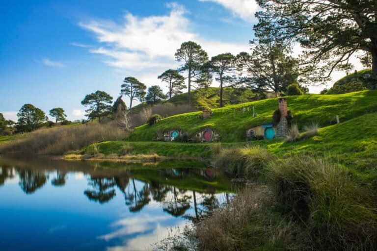 From Auckland: Hobbiton & Waitomo Caves Day Trip with Lunch - The Bottom Line