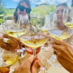 From Auckland: Waiheke Island Wineries' Tour - What Could Be Better?