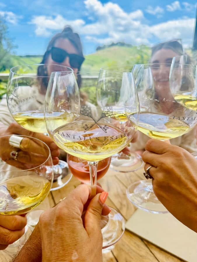 From Auckland: Waiheke Island Wineries' Tour - What Could Be Better?