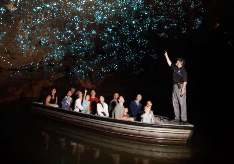 From Auckland: Waitomo Caves and Kiwi House Group Tour - Exploring the Waitomo Glowworm Caves