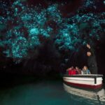 From Auckland: Waitomo Glow Worm Caves & Rotorua Tour - How Does It Value Compared to Other Tours?