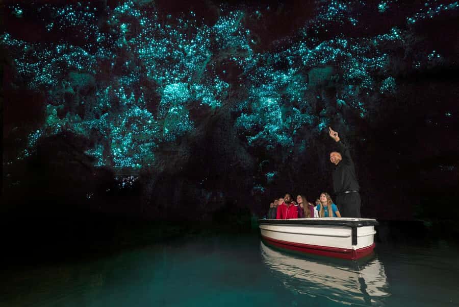 From Auckland: Waitomo Glow Worm Caves & Rotorua Tour - How Does It Value Compared to Other Tours?