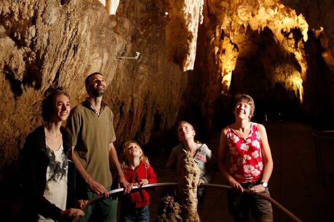 From Auckland:Hobbiton Movie Set & Waitomo Caves Small Group Tour - What Makes This Tour Stand Out