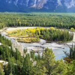 From Banff/Canmore: Banff National Park Guided Day Tour - Exploring Banff Town and Beyond