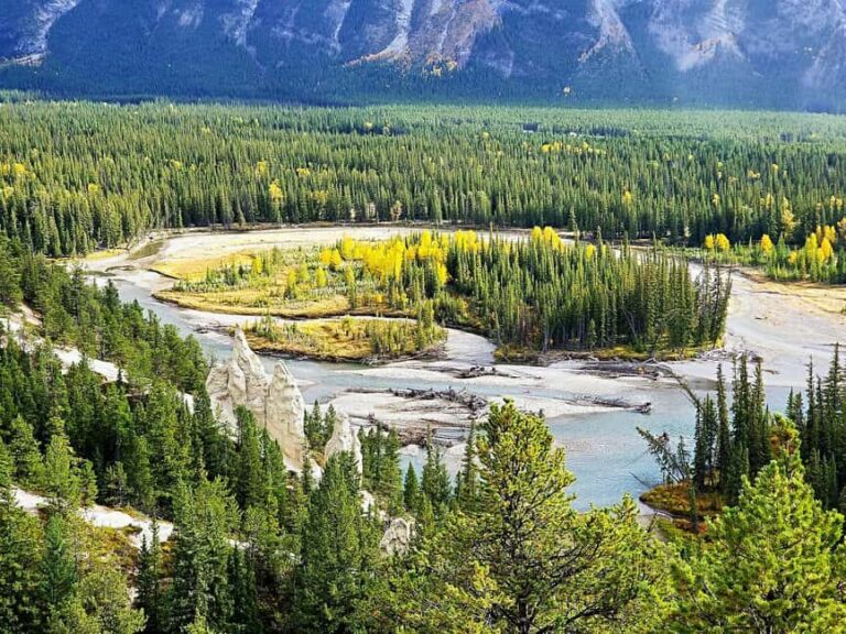 From Banff/Canmore: Banff National Park Guided Day Tour - Exploring Banff Town and Beyond