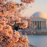 From Boston: 4-Day Tour to New York, D.C.&Niagara Falls - What Travelers Say