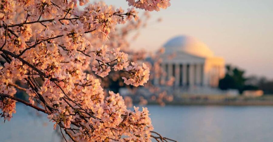 From Boston: 4-Day Tour to New York, D.C.&Niagara Falls - What Travelers Say