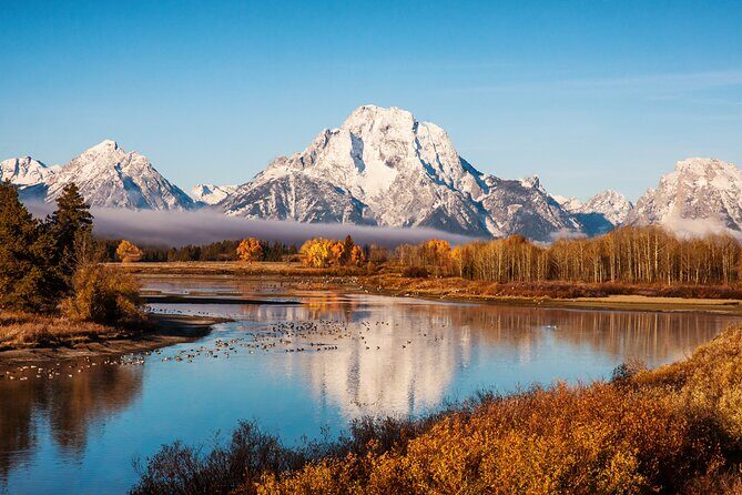 From Bozeman Yellowstone and Teton Tour 3 Days and 2 Nights - Day 2: Geysers, Wildlife, and Mountain Views