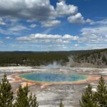 From Bozeman: Yellowstone Day Tour (Lower Loop) - The Real Deal: What Travelers Say