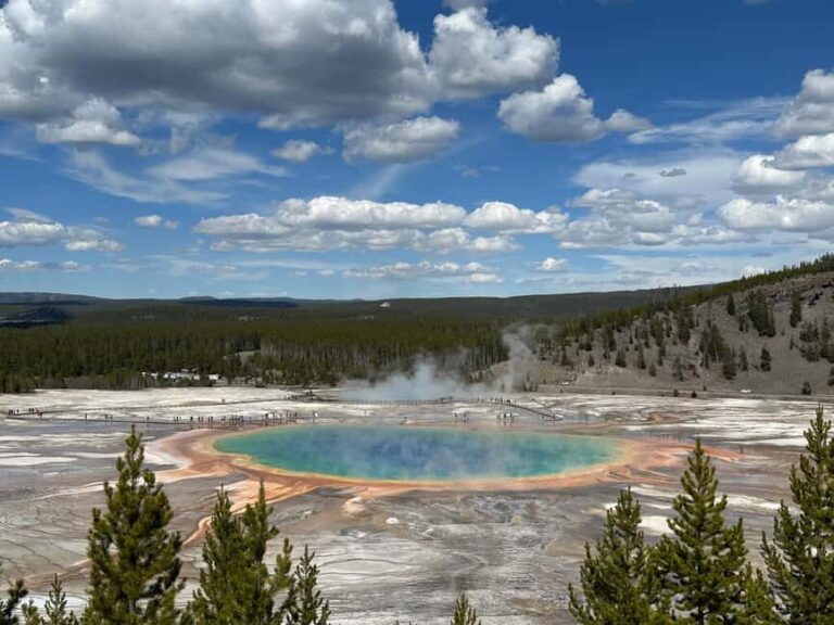 From Bozeman: Yellowstone Day Tour (Lower Loop) - The Real Deal: What Travelers Say