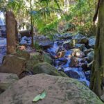 From Brisbane: Tamborine Mountain and Paradise Point Tour - Practical Details and What to Expect