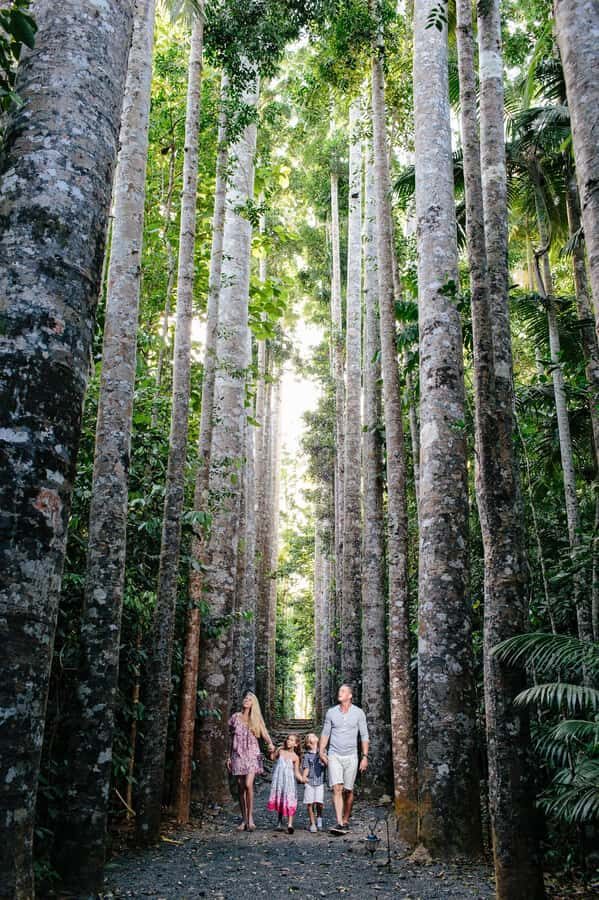 From Cairns: Atherton Tablelands and Paronella Park Day Trip - What’s Included and the Experience Quality