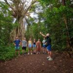 From Cairns: Barefoot Tablelands Waterfall & Rainforest Tour - The Route: What You’ll See and Do