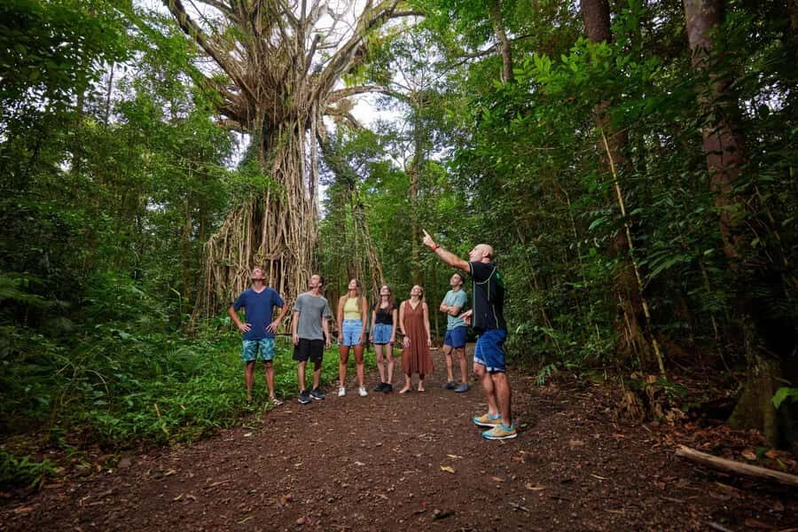From Cairns: Barefoot Tablelands Waterfall & Rainforest Tour - The Route: What You’ll See and Do