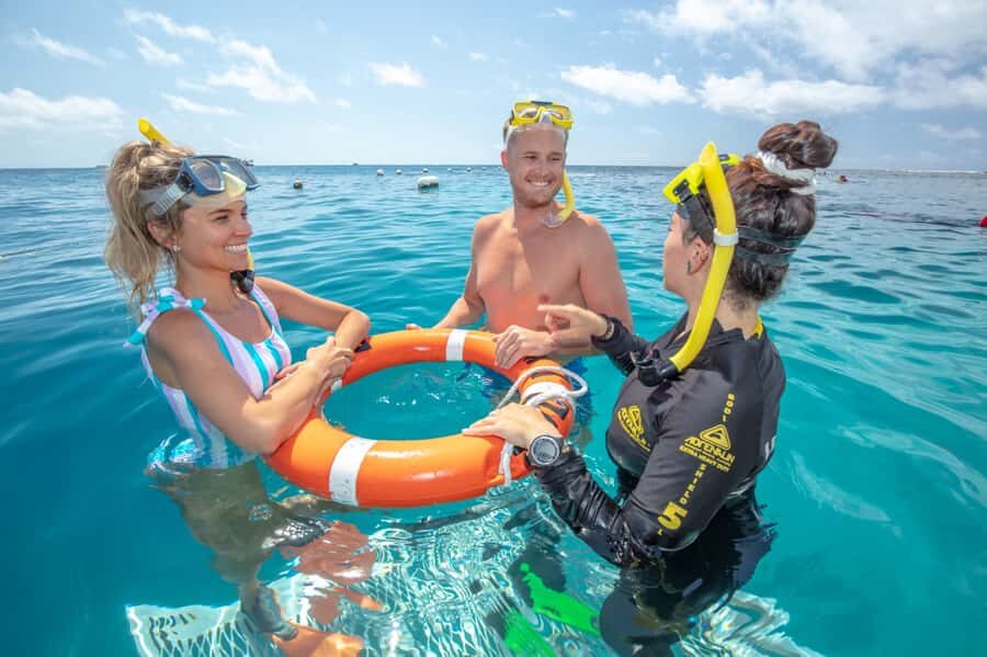 From Cairns: Great Barrier Reef Pontoon Experience - The Overall Value and Experience
