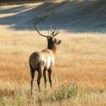From Calgary: Deep 1 Day Tour in Banff - How Does It Compare Value-Wise?