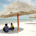 From Campeche: Flamingo Private Tour - Who’s It Best For?