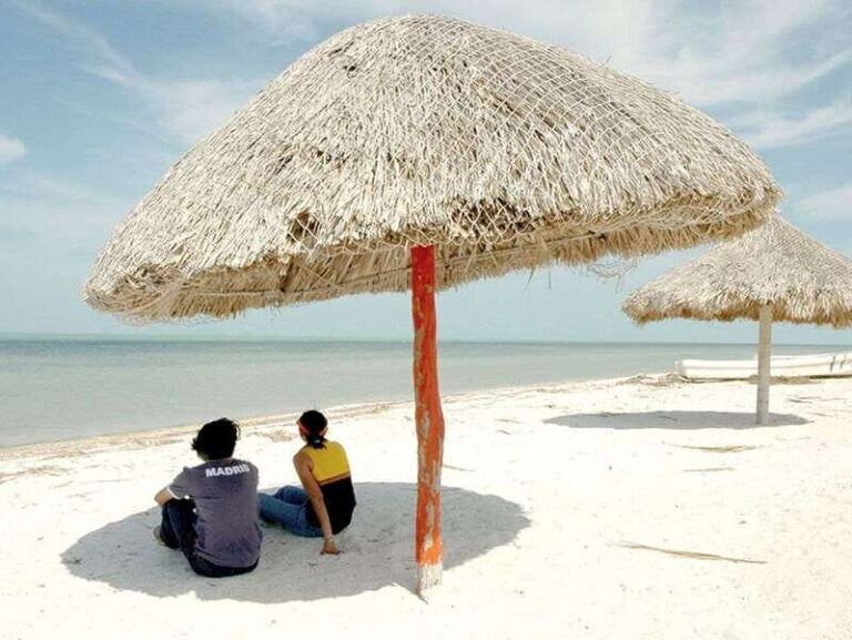 From Campeche: Flamingo Private Tour - Who’s It Best For?