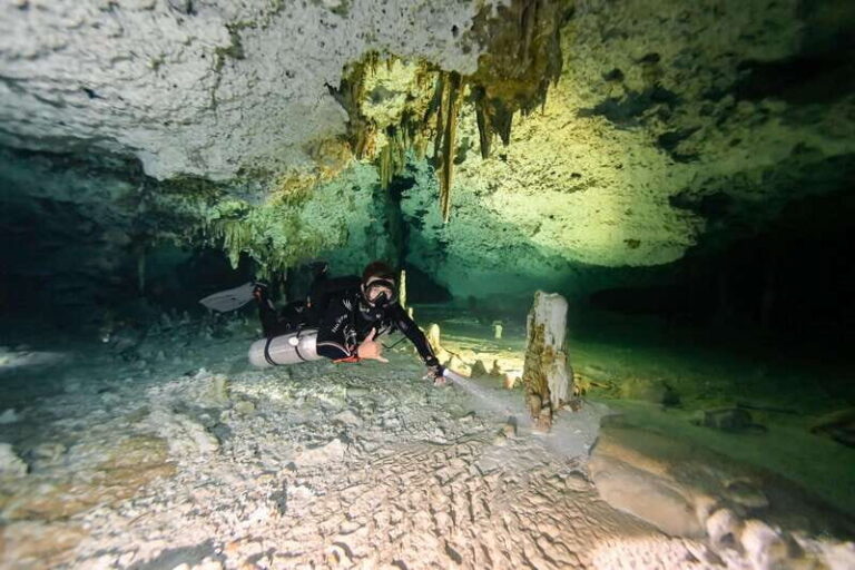 From Cancun: 2 Dives in Cenote Dos Ojos for Certified Divers - Who Will Love This Tour?