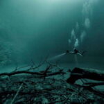 From Cancun: Angelita and Taj Ma Ha Cenote Diving Experience - The Practical Side: What You Need to Know