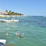 From Cancun: ATV EXPRESS Cenote Adventure with lunch - Is It Worth the Price?