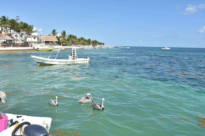 From Cancun: ATV EXPRESS Cenote Adventure with lunch - Is It Worth the Price?