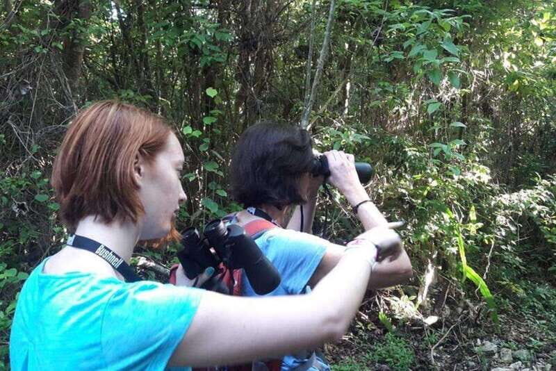 From Cancun: Bird Watching Day Tour - What We Like & What to Consider