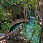 From Cancun: Complete Combo to Xcaret Park! - The Itinerary: What You Can Expect