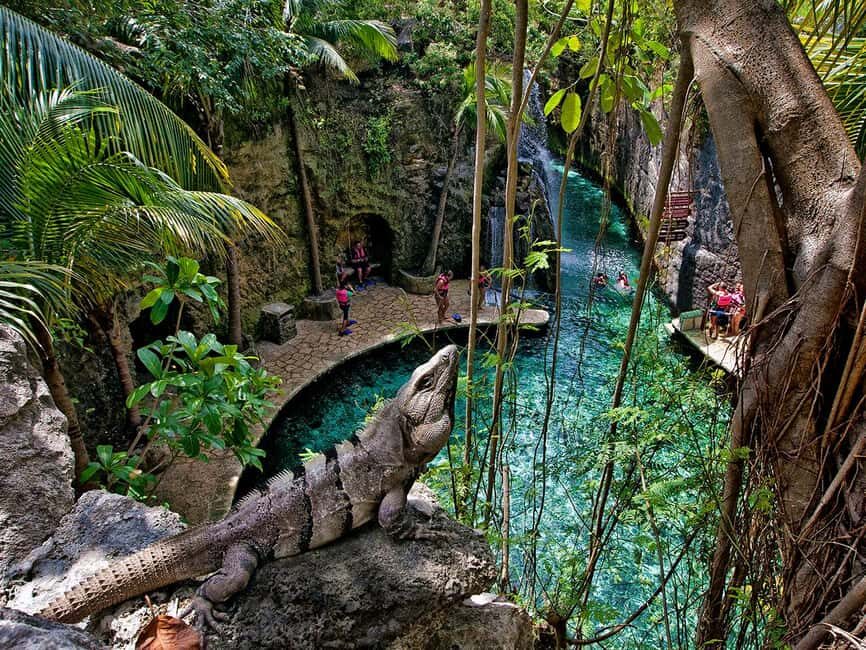 From Cancun: Complete Combo to Xcaret Park! - The Itinerary: What You Can Expect