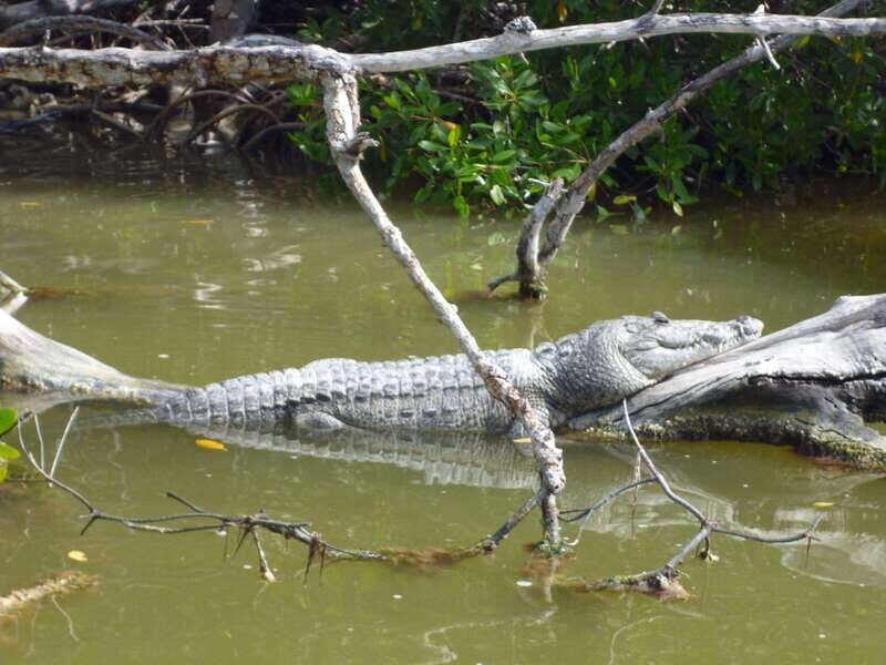 From Cancun: Kantemó Snake Cavern Adventure - What the Tour Includes and How It Runs