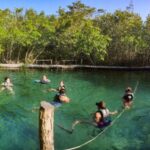 From Cancun or Puerto Morelos: Holbox Boat Tour with Lunch - Transportation, Group Size, and Overall Experience