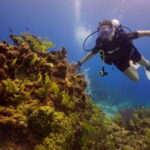 From Cancun: Puerto Morelos Diving Adventure - The Practical Side: Group Size, Duration, and Flexibility