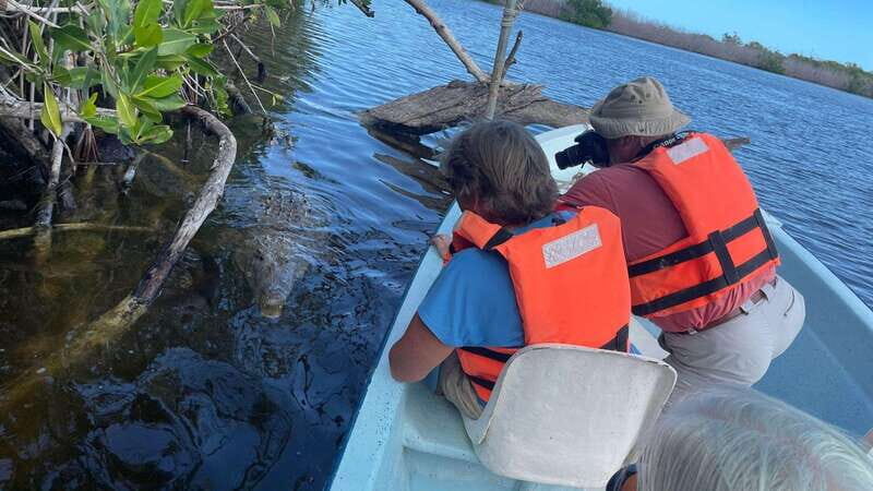 From Cancun: Rio Lagartos and Las Coloradas Day Trip - The Experience at Rio Lagartos