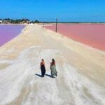 From Cancún: Rio Lagartos & Las Coloradas Day Trip & Lunch - Real Traveler Feedback