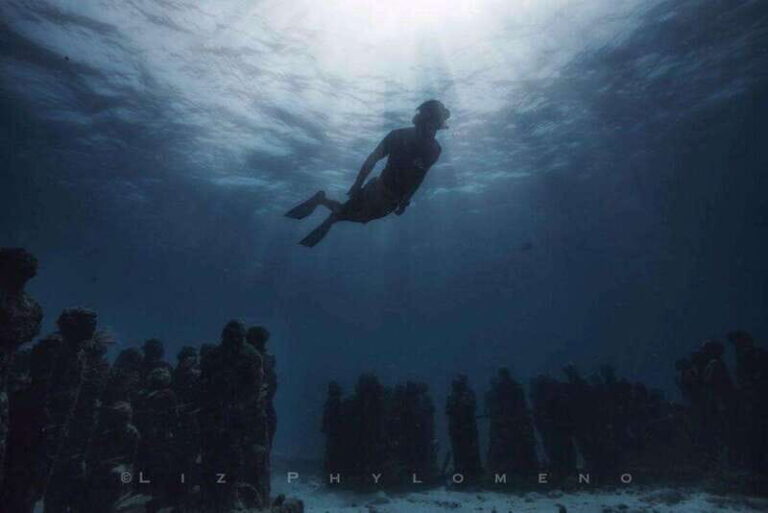 From Cancun: Snorkeling Cozumel Reefs - The Value of the Experience