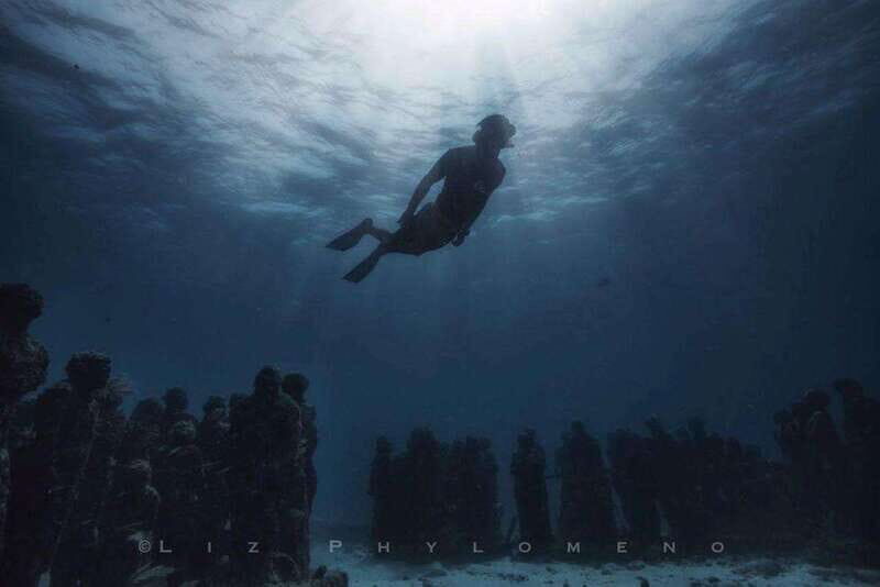 From Cancun: Snorkeling Cozumel Reefs - The Value of the Experience