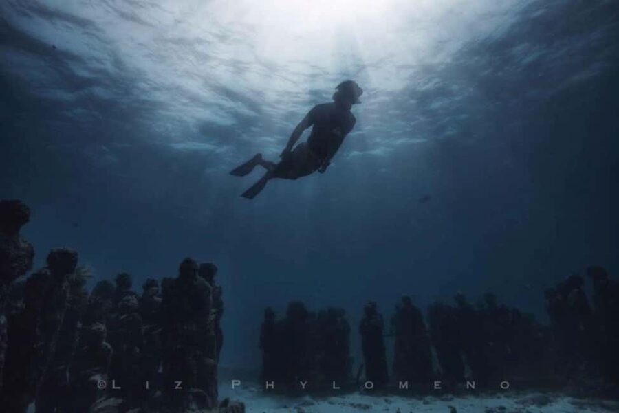 From Cancun: Whale Sharks Snorkeling - What We Think About the Price