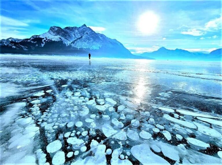 From Canmore/Banff: Icefields Parkway & Abraham Lake Bubbles - What Real Travelers Say
