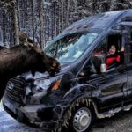 From Canmore Moraine Lake and Lake Louise Sightseeing - Who Is This Tour Best For?