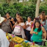 FROM CDMX: Puebla, Oaxaca, Veracruz, Chiapas, Campeche, Yucatan 13 DAYS - Veracruz: Flavors, Coastlines, and Historic Ports