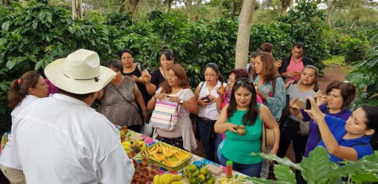 FROM CDMX: Puebla, Oaxaca, Veracruz, Chiapas, Campeche, Yucatan 13 DAYS - Veracruz: Flavors, Coastlines, and Historic Ports